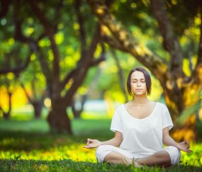 世界杯投注分析-荷兰锋线效率成焦点，橙衣军团赛前引关注